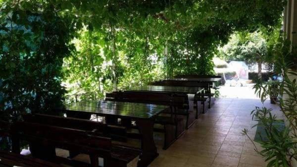 Semeen Hotel Afrikana Sweti Wlas Exterior foto